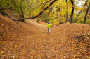 Un Tuffo nel Foliage