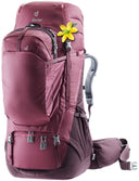Aviant Voyager 60+10 SL Maron Aubergine
