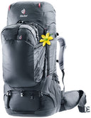 Aviant Voyager 60+10 SL Black