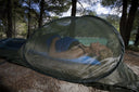 Mosquito Net Pop Up Dome Durallin